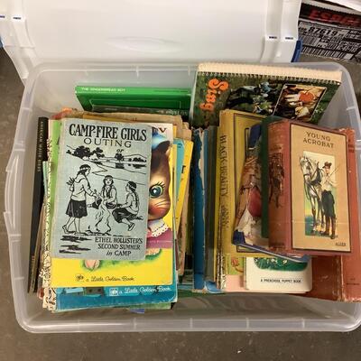 5515 Lot of Childrenâ€™s Vintage Book