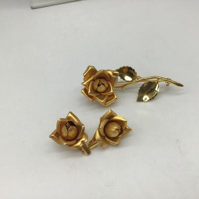Set Of ðŸŒ¹ Earrings and Brooch. Pretty