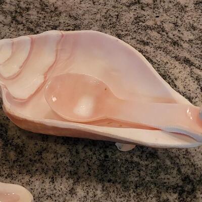 Lot 58: (2) Real Conch Sea Shell Serving Dishes with Shell Spoons