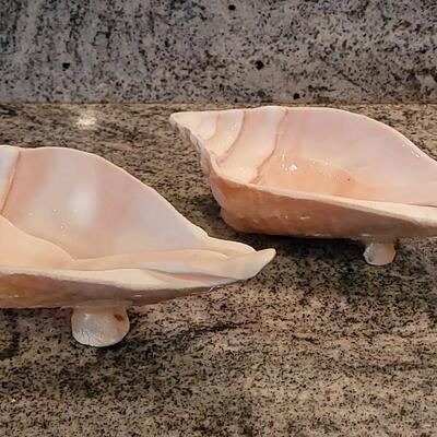 Lot 58: (2) Real Conch Sea Shell Serving Dishes with Shell Spoons