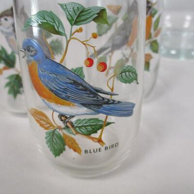 Glass Bird Glasses With Pitcher