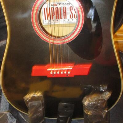 Esteban Limited Edition Acoustic Guitar