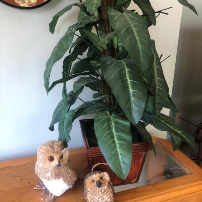 L18- Owls & faux plant