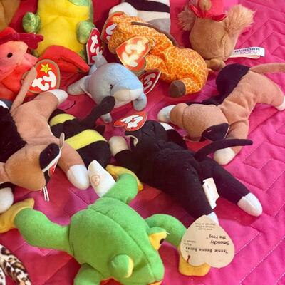 24 Small Beanie Babies, Smoke and Pet Free Home