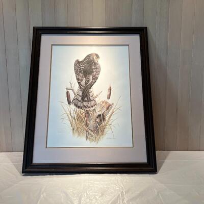 Limited Edition Don Whitlatch Marsh Hawk Signed and Numbered Print