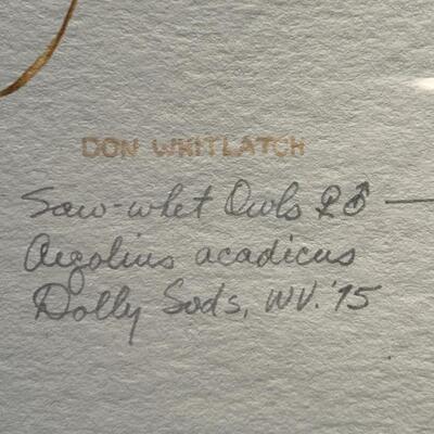 Don Whitlatch Limited Edition Saw-whet Owls Lithograph Print