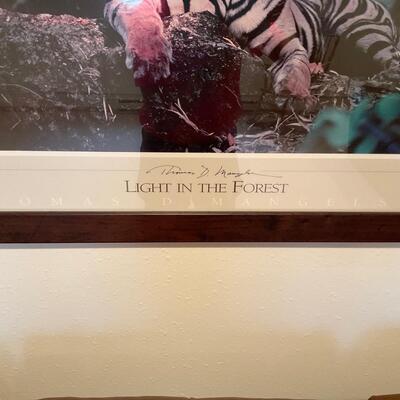 Light in the Forest by Thomas D. Mangelsen