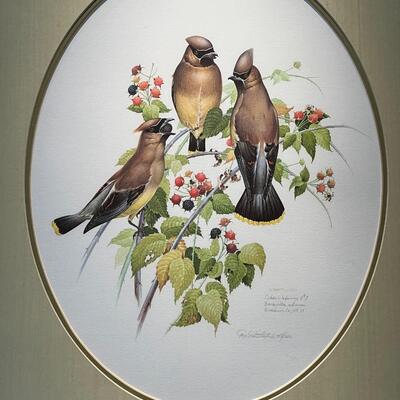 Beautiful Don Whitlatch Cedar Waxwings Limited Edition Signed and Numbered Print