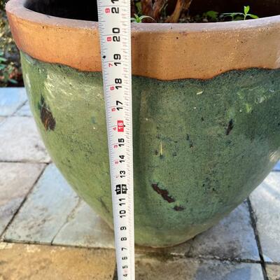 Beautiful Speckled Green and Terra Cotta Ceramic Pottery Planter Pot and Blueberry Plant (#2)