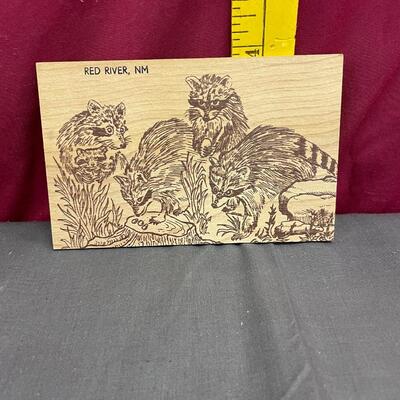 Raccoon assortment #5