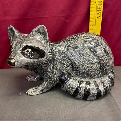Raccoon assortment #5