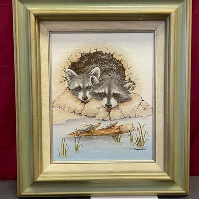 Raccoonâ€™s and turtles