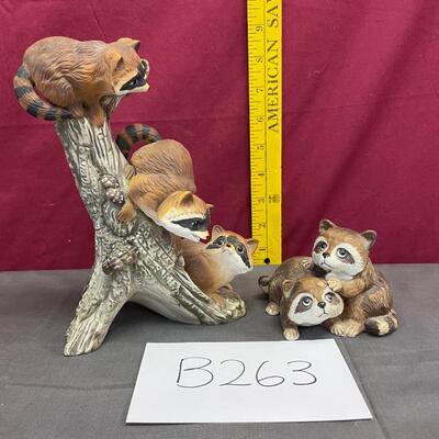 Raccoon assortment #9