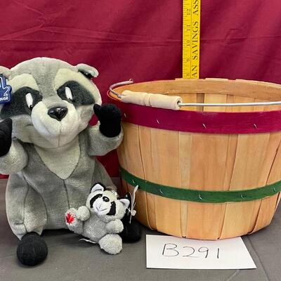 Raccoon assortment #12