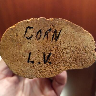 Hopi "Corn" Kachina by Lawrence Valentine