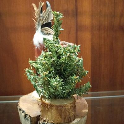 Navajo Black Ogre Kachina