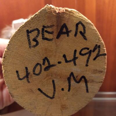 Hopi Kachina, Bear Dancer with mask