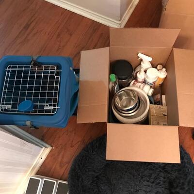 Dog items