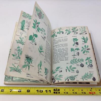 VINTAGE 1960'S BOY SCOUT HANDBOOK