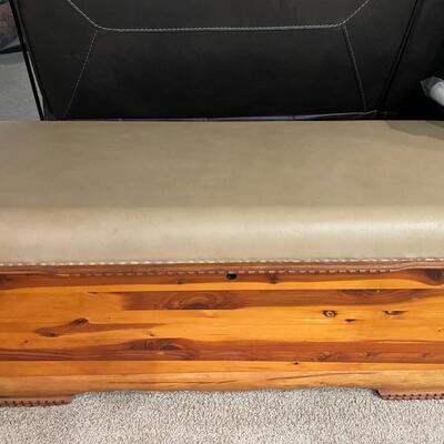 Vintage Lane Chest padded seat