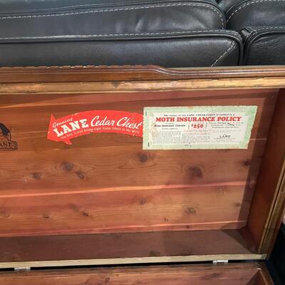 Vintage Lane Chest padded seat