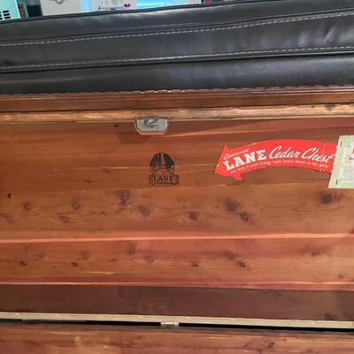 Vintage Lane Chest padded seat
