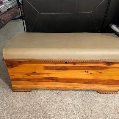 Vintage Lane Chest padded seat