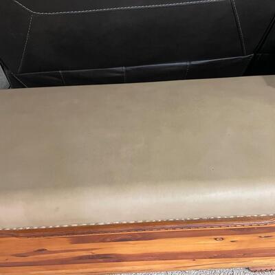 Vintage Lane Chest padded seat