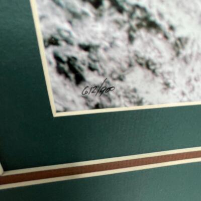 Alaskan Wildlife print Mama Bear and Cubs in search of food