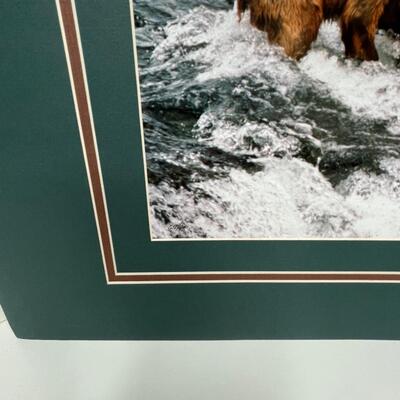 Alaskan Wildlife print Mama Bear and Cubs in search of food