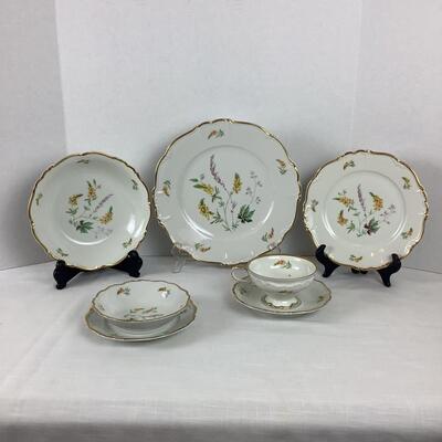 D1008 Antique 79pc Set of Edelstein Bavaria "Dorchester" China Set