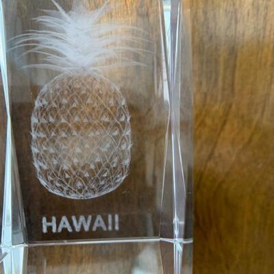 Hawaii Pineapple Paper Weight