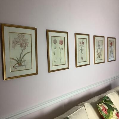 L1037 Set of 5 Gold Framed Botanical Prints