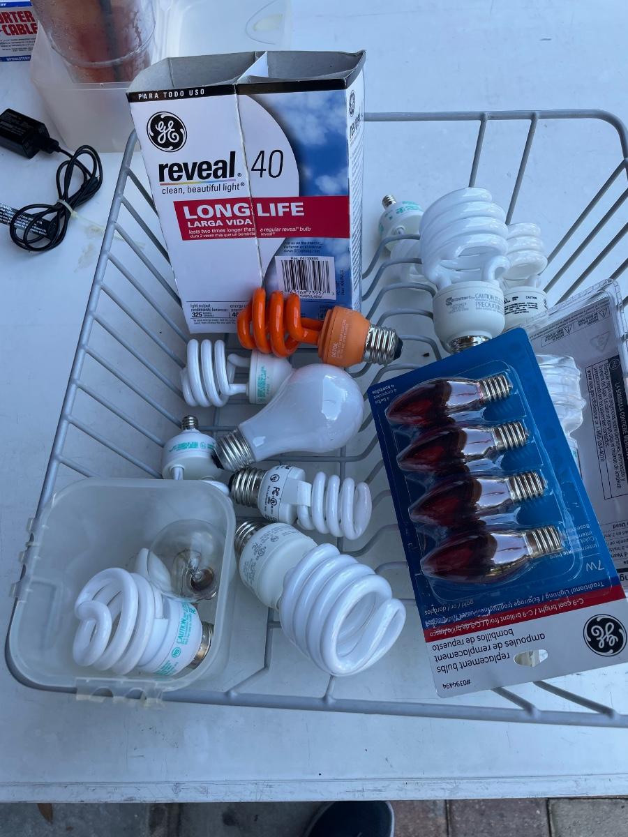 Lot 33. Light Bulb Assortment