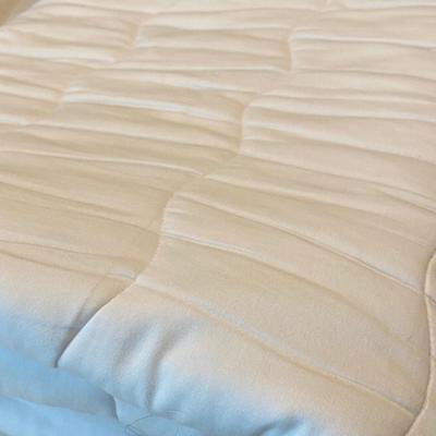 Lot 201. Queen Mattress Pad