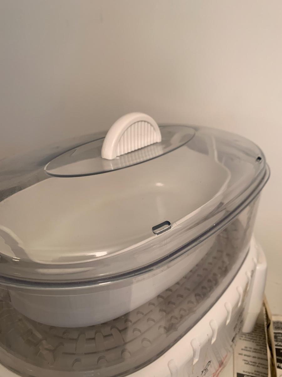 Sunbeam Instant Steamer