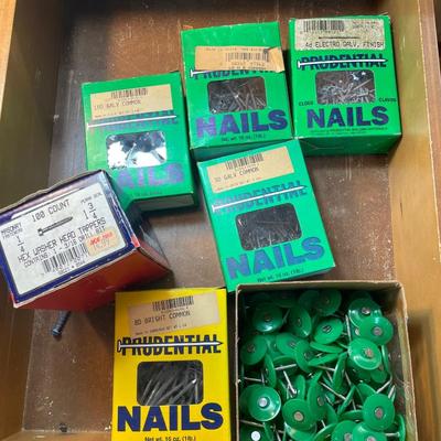 Lot 53. Nail Assortment