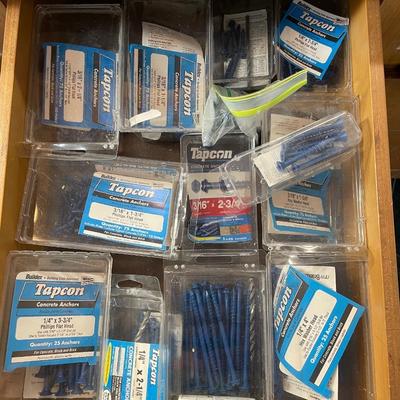 Lot 54. Concrete Screw Assortment
