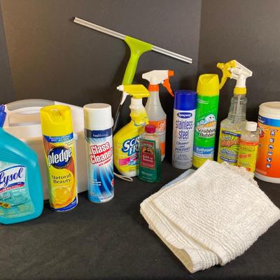 Lot 324. Assorted Cleaning Products with Caddy