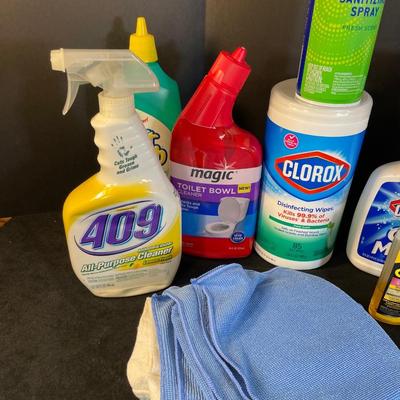 Lot 325  Assorted Cleaning Products with Blue Caddy