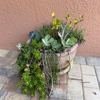 Lot 106. Succulent Planter