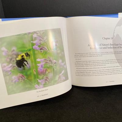 Lot 247. Coffee Table Books