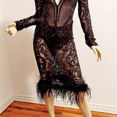 Ostrich Feathers Semi Sheer Embellished dress Cashmere Design