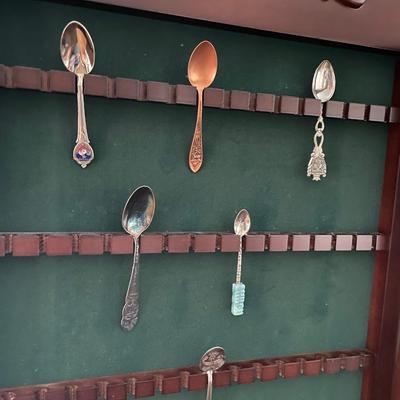Lot 332.5  Spoon Collection Display Box