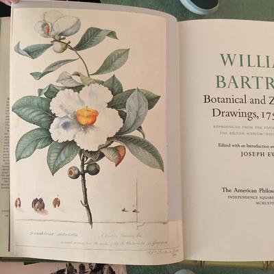 L1228 William Bartram Botanical & Zoological Drawings, 1756-1788
