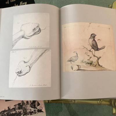 L1228 William Bartram Botanical & Zoological Drawings, 1756-1788