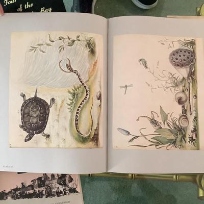 L1228 William Bartram Botanical & Zoological Drawings, 1756-1788