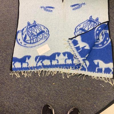 Blue and White Poncho