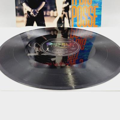 ARABIAN PRINCE SHE'S GOT A BIG POSSE LP VINYL RECORD