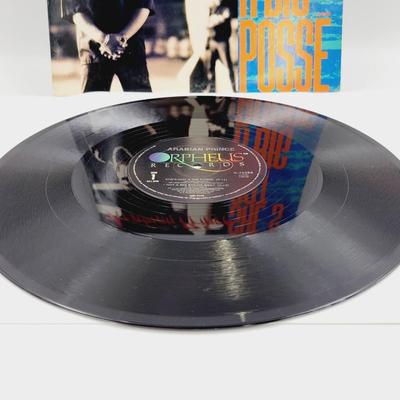ARABIAN PRINCE SHE'S GOT A BIG POSSE LP VINYL RECORD